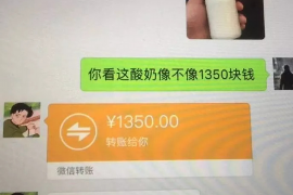 逊克如何避免债务纠纷？专业追讨公司教您应对之策